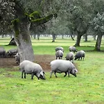 La Era De San Blas