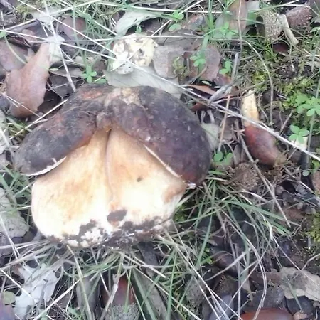 La Era De San Blas Сasa de vacaciones