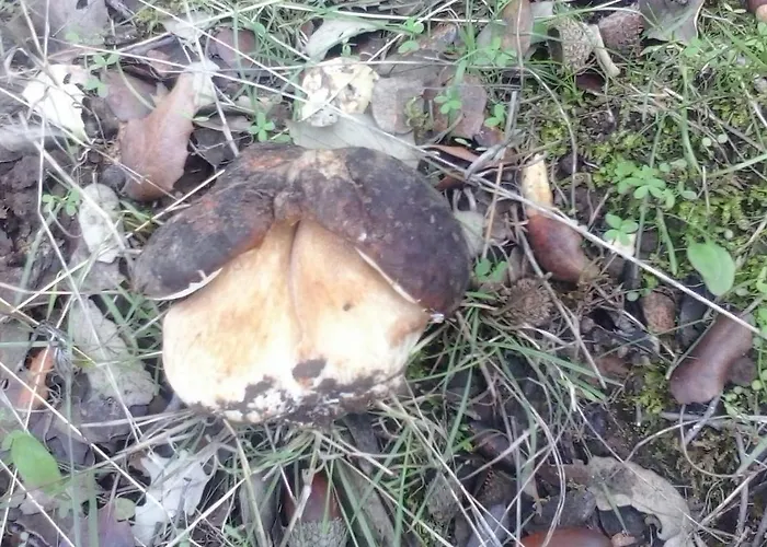 La Era De San Blas Casa de Férias